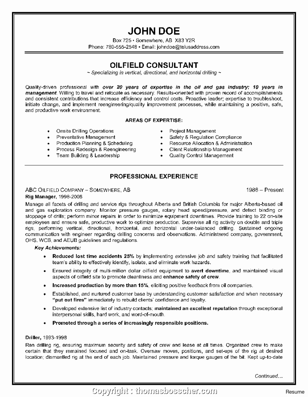Areas Of Expertise Resume Letter Example Template