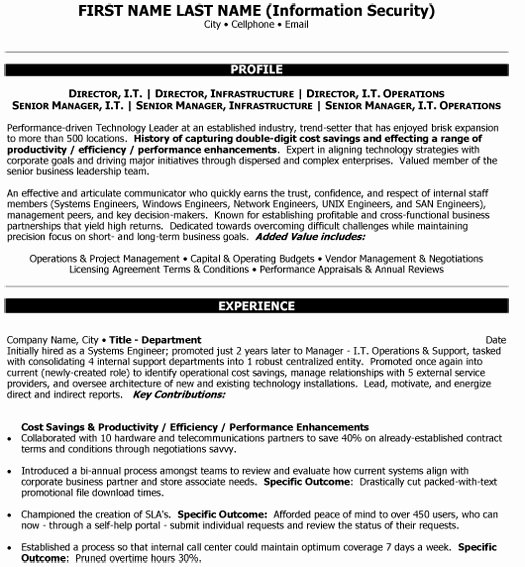 information technology resume samples