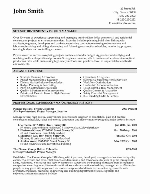 Top Project Manager Resume Templates &amp; Samples