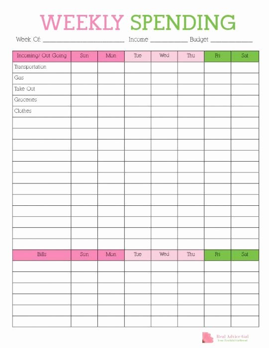 Track Your Weekly Spending with This Free Printable Weekly Bud Sheet