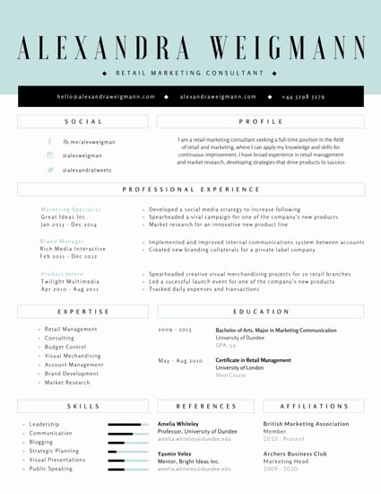Traditional Accountant Resume Templates by Canva