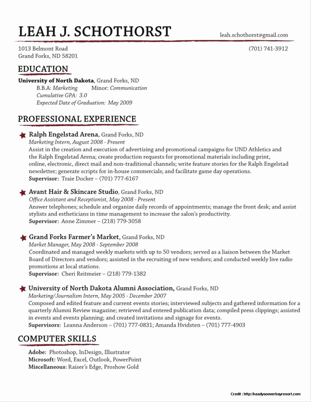 Traditional Resume Template Free Resume Resume
