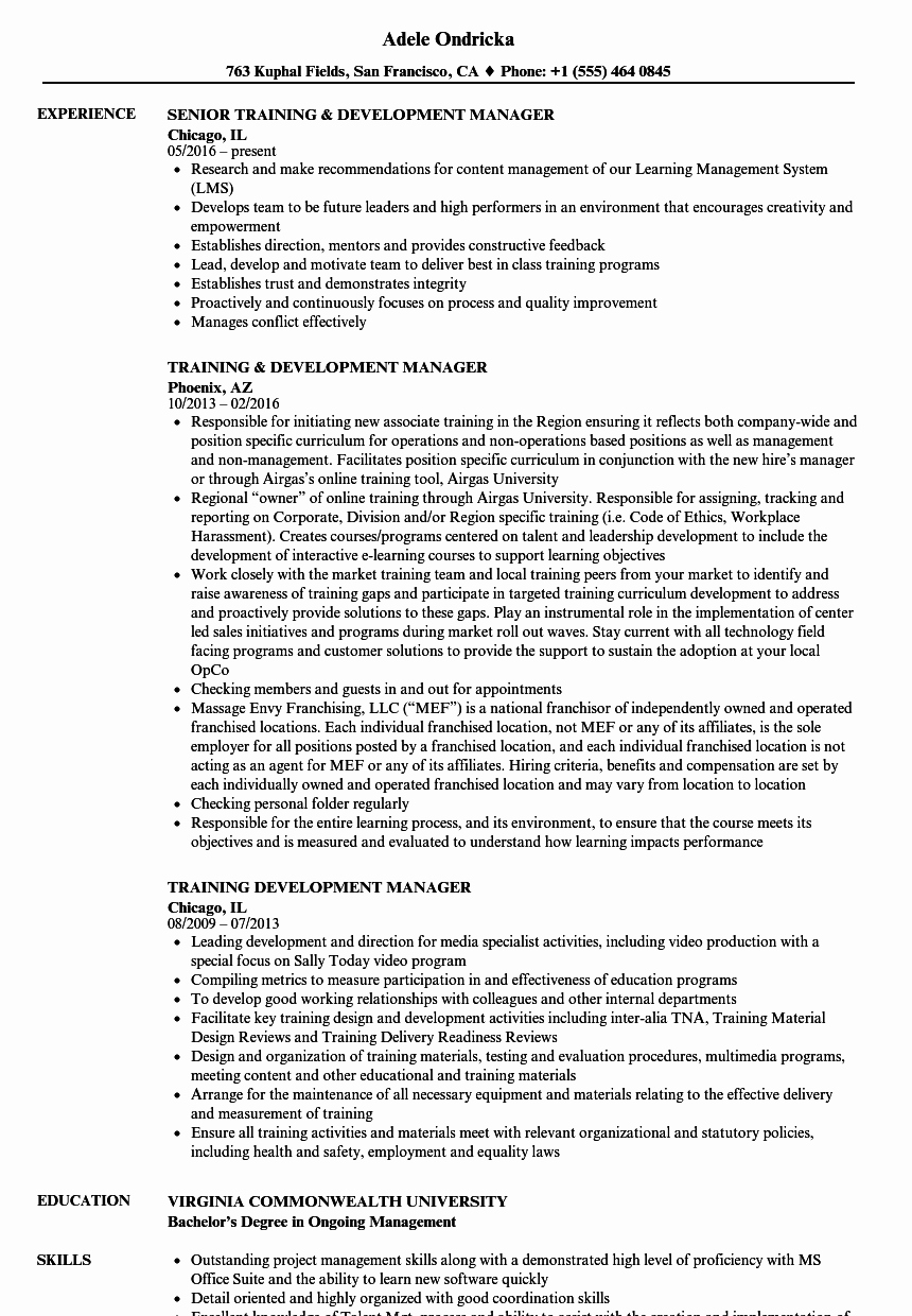 Training &amp; Development Manager Resume Samples