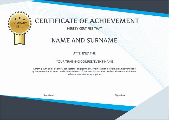 Training Certificate Template Free Download Beautiful