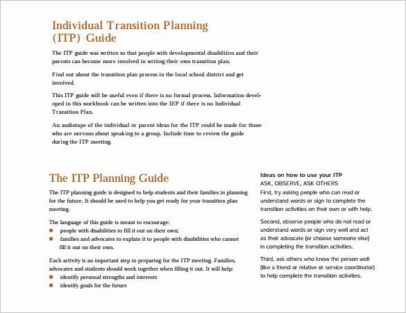 Transition Plan Template 11 Free Word Excel Pdf