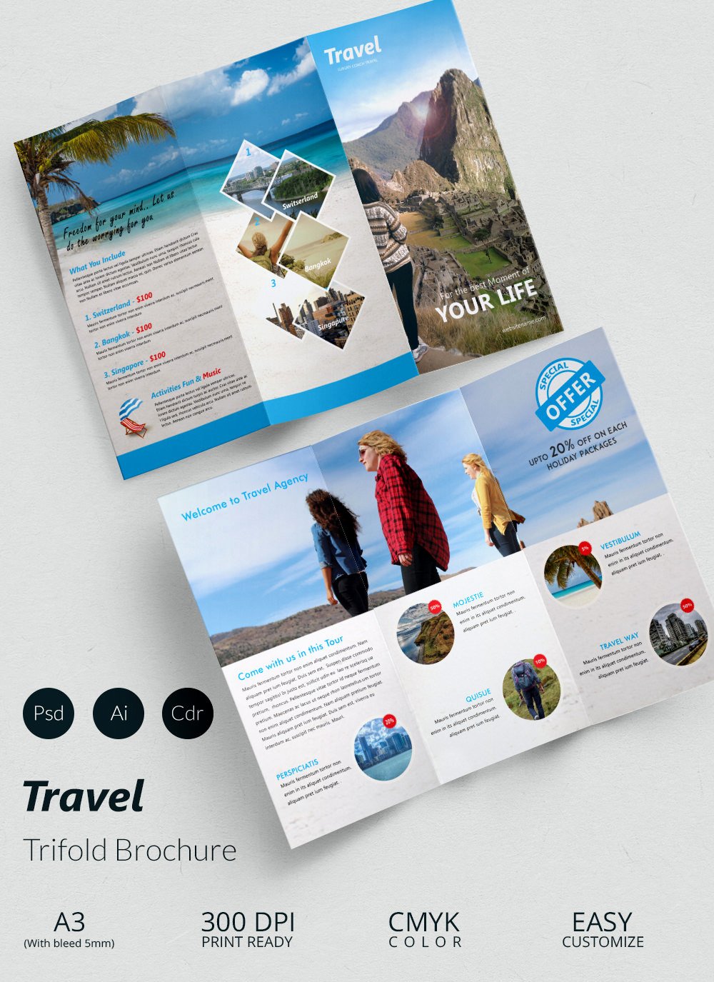 Travel Brochure Templates 21 Download In Psd Vector