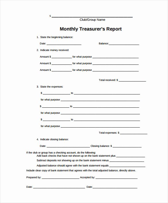 sample treasurer report