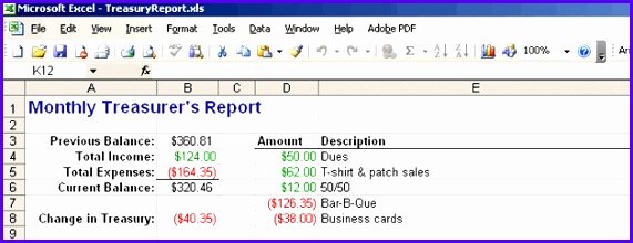 Treasurer Report Template Excel – thermomixub