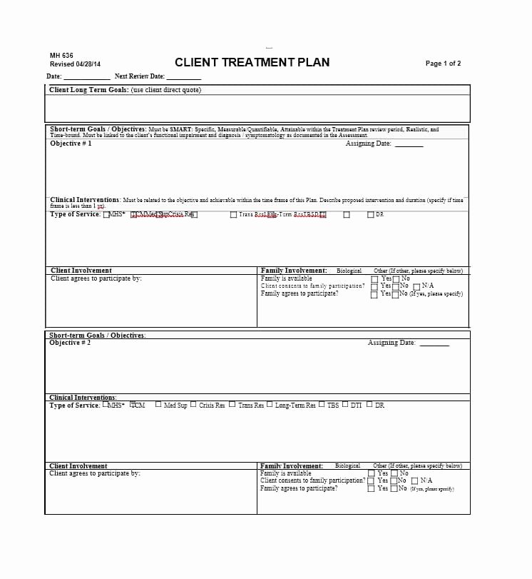 Treatment Plan Template Image Collections Template