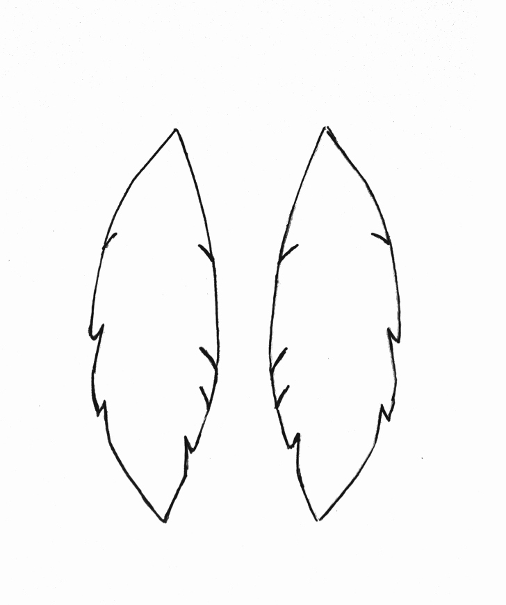 Turkey Feather Template