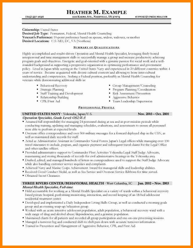 usa resume samples