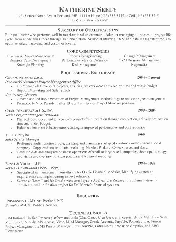 Vice President Resume Sample Example Executive Resumes