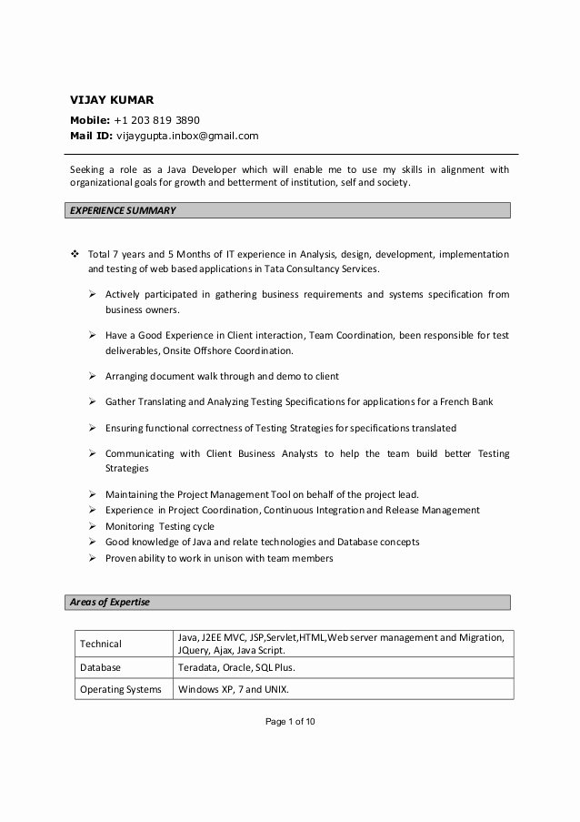 Vijay Kumar Java Developer Resume