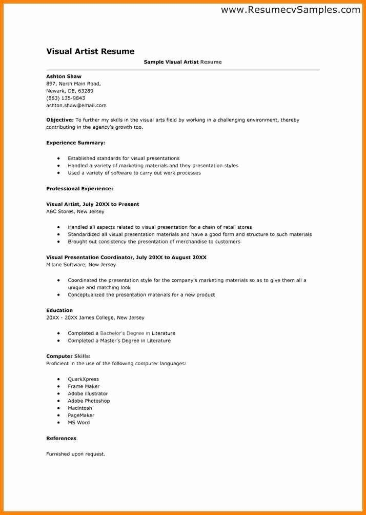 Visual Artist Resume Best Resume Collection