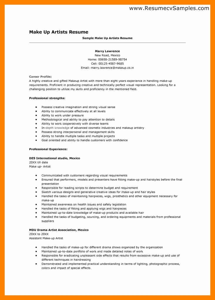 Visual Arts Resume Best Resume Collection