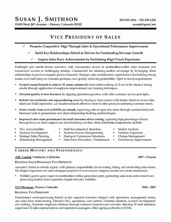 Vp International Sales Resume