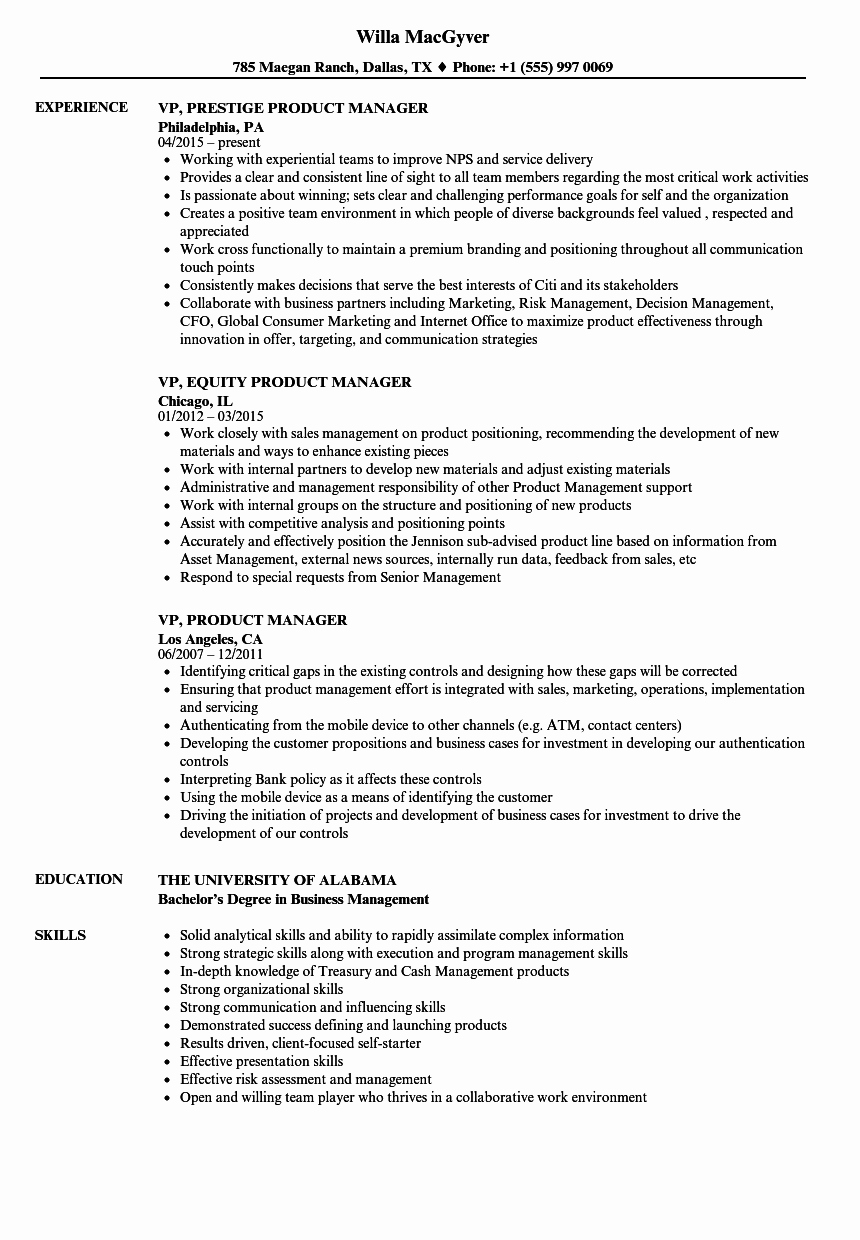 Vp Product Manager Resume Samples