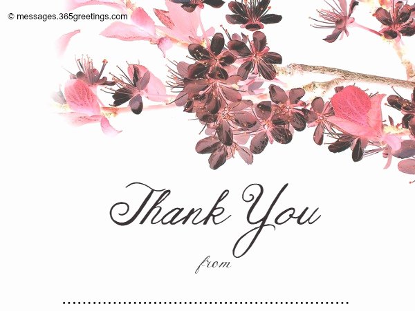 Wedding Thank You Messages 365greetings