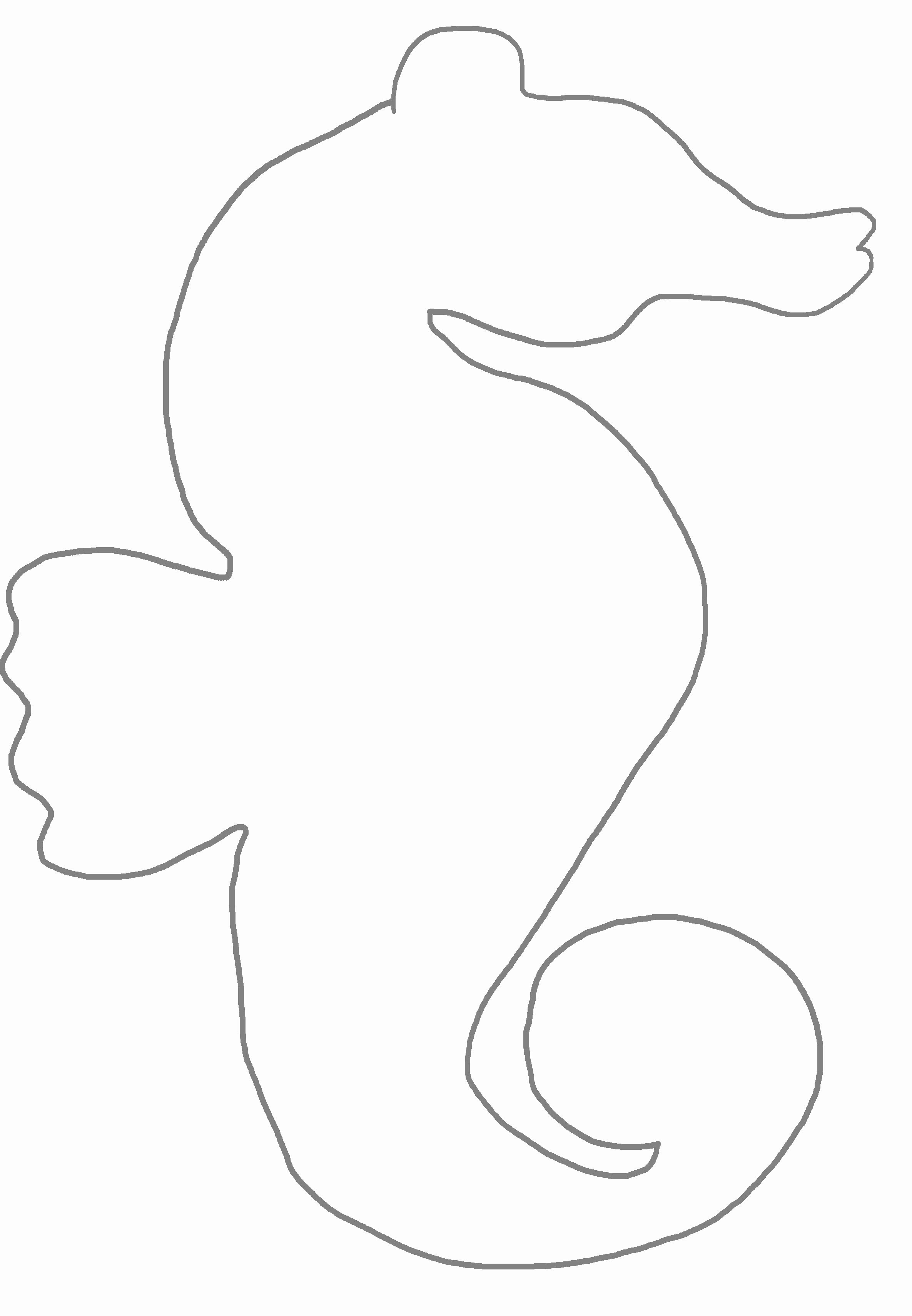 weird printable seahorse template 65 sea creature templates crafts colouring pages