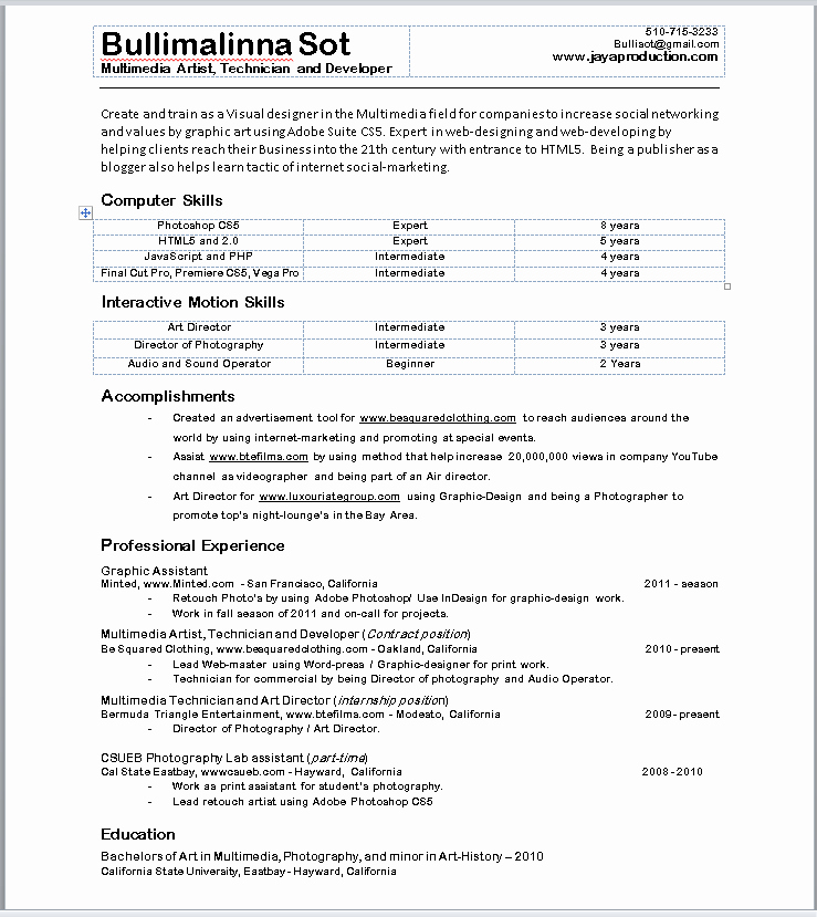 What Does A Resume Look Like Best Template Collection