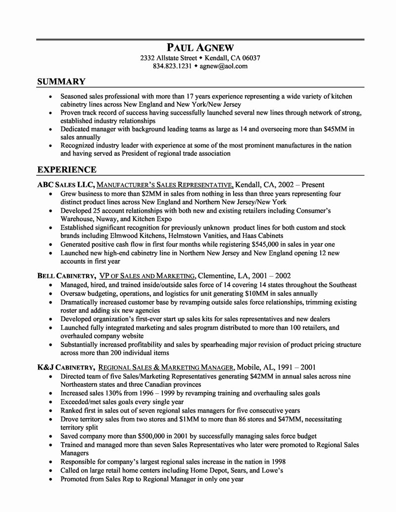 Whats A Great Resume Summary – Perfect Resume format
