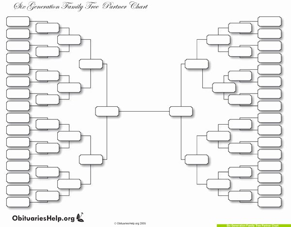Why A Family Tree Template is the Perfect Gift