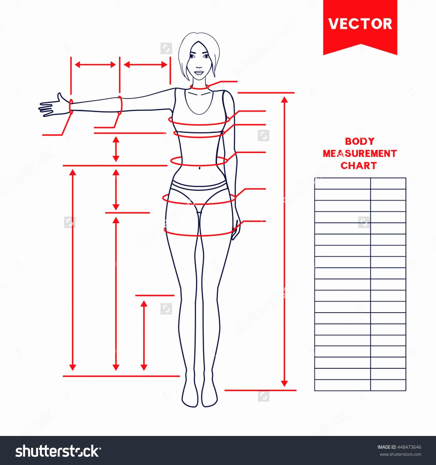 Woman Body Measurement Chart Scheme for Measurement Human