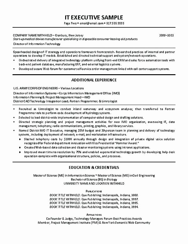 Wonderful It Director Resume Objective for Your Operations
