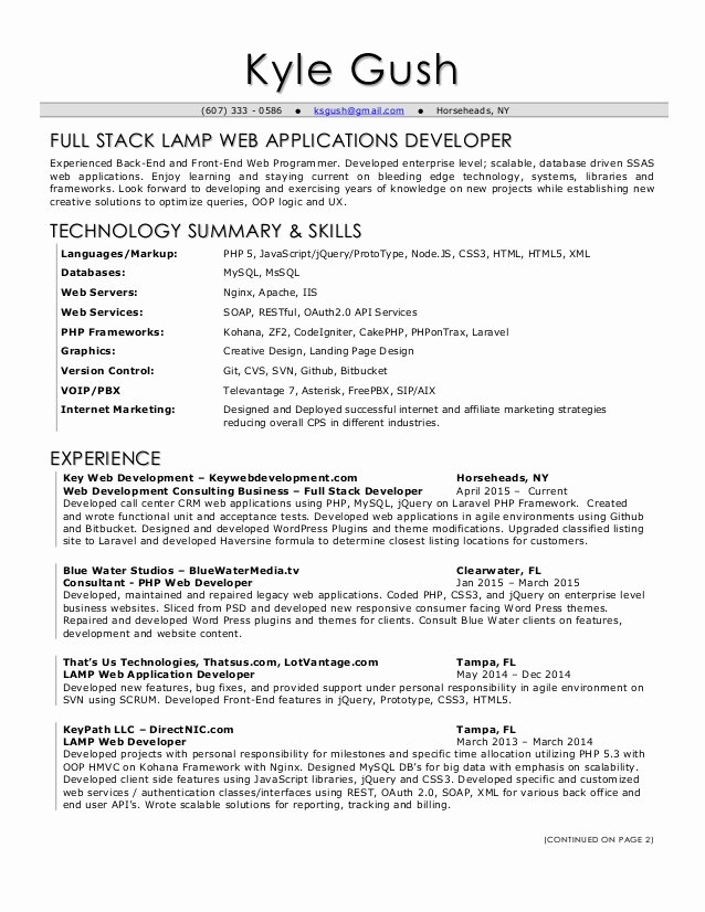 Wondrous Full Stack Developer Resume Pleasing Best