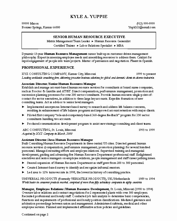 Write A Professional Resume Best Resume Gallery