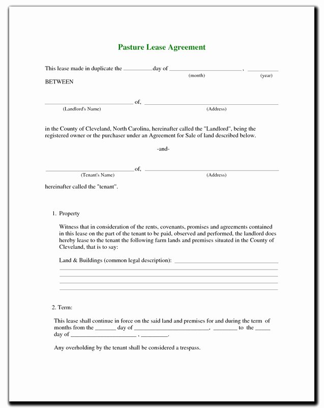 Writing A Pasture Lease Contract – Pasture